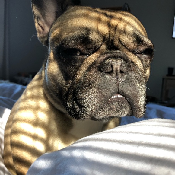 Meet your Posher, Amanda - Picture 1 of 1